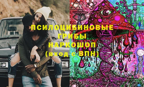 трава Няндома